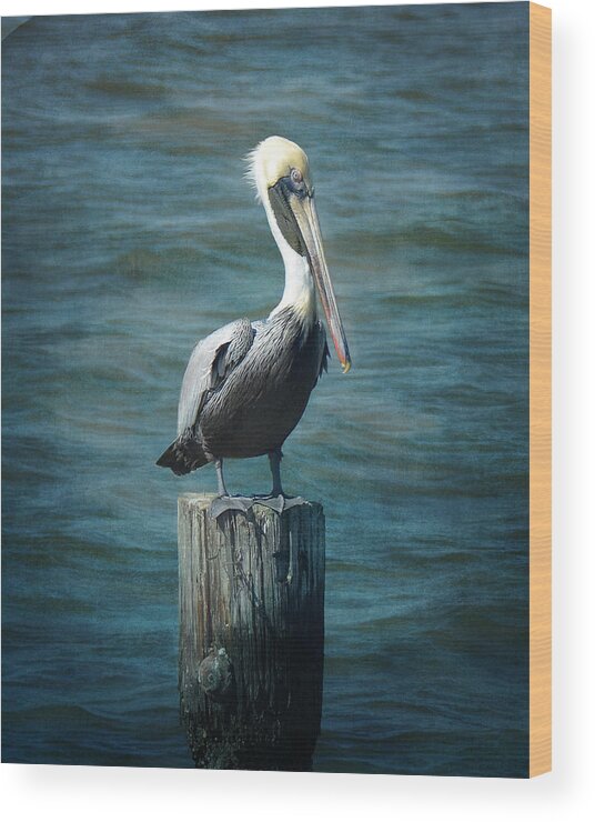 Pelican Wood Print featuring the photograph Perched Pelican by Carla Parris