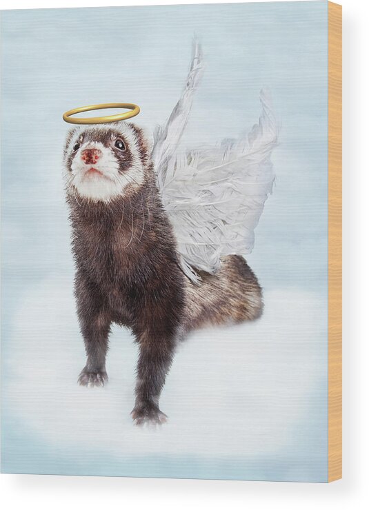 Animal Wood Print featuring the photograph Pet Ferret Angel in Clouds by Good Focused