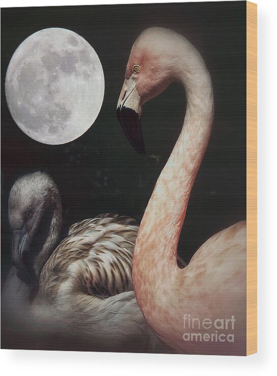 Flamingos Wood Print featuring the photograph Pink Flamingo Moon 2 by Toma Caul