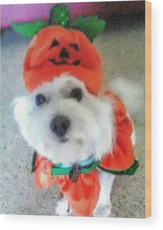 Coton De Tulear Wood Print featuring the photograph Really Halloween by Suzanne Berthier