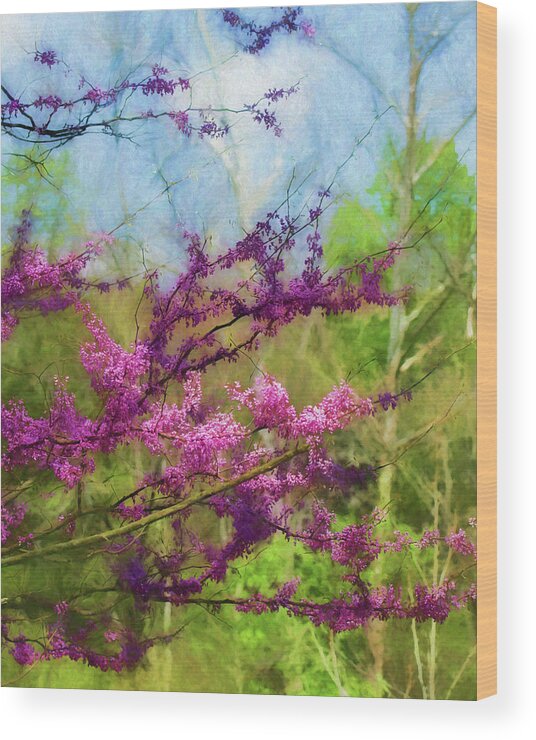 Devils Den State Park Wood Print featuring the photograph Redbud Tree by James Barber