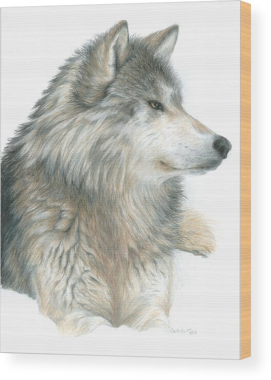 Wolf Wood Print featuring the painting Relaxing Wolf by Carla Kurt
