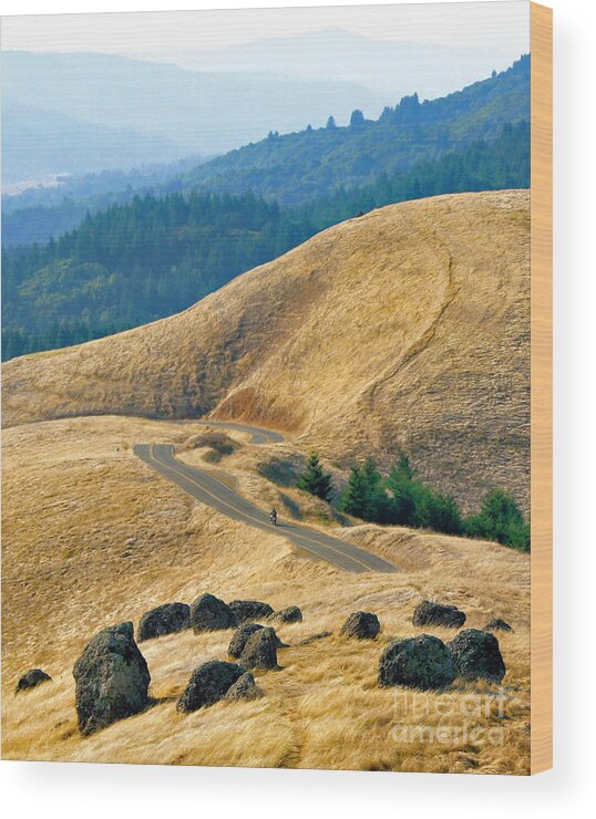 Mt. Tamalpais Wood Print featuring the photograph Riding the Mountain by Joyce Creswell
