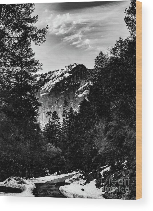 Landscape Wood Print featuring the photograph Road to Wonder, Black and White by Adam Morsa