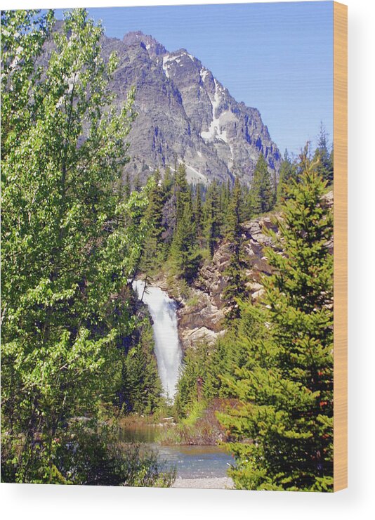 Waterfalls Wood Print featuring the photograph Running Eagle Falls Glacier National Park by Marty Koch