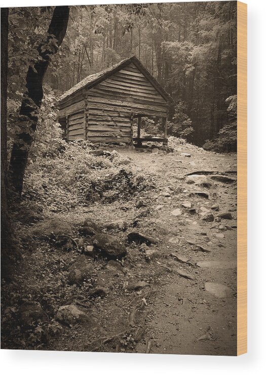 Rustic Wood Print featuring the photograph Rustic Cabin by Larry Bohlin