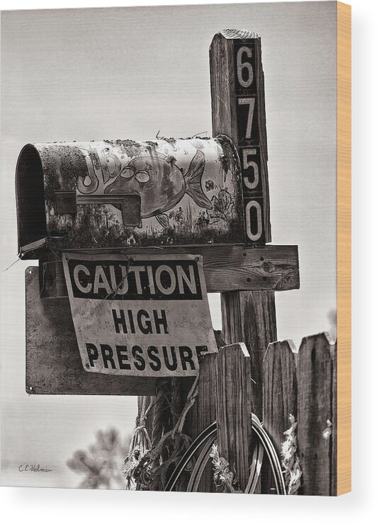 Mailbox Wood Print featuring the photograph Rusty Mailbox - Sepia by Christopher Holmes