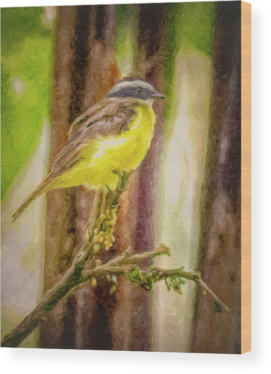 Bird Wood Print featuring the photograph Rusty Margined Flycatcher Panaca Quimbaya Colombia by Adam Rainoff