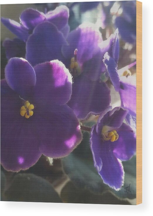 Flowers Wood Print featuring the photograph Samara's Flowers by Jim Vance