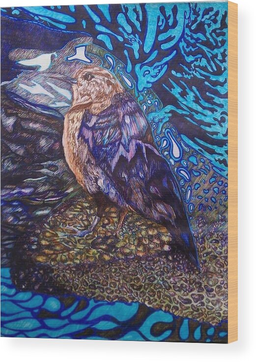 Bird Wood Print featuring the drawing Shore Bird by Angela Weddle