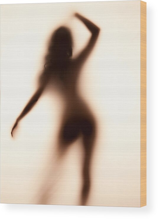 Silhouette Wood Print featuring the photograph Silhouette 117 by Michael Fryd