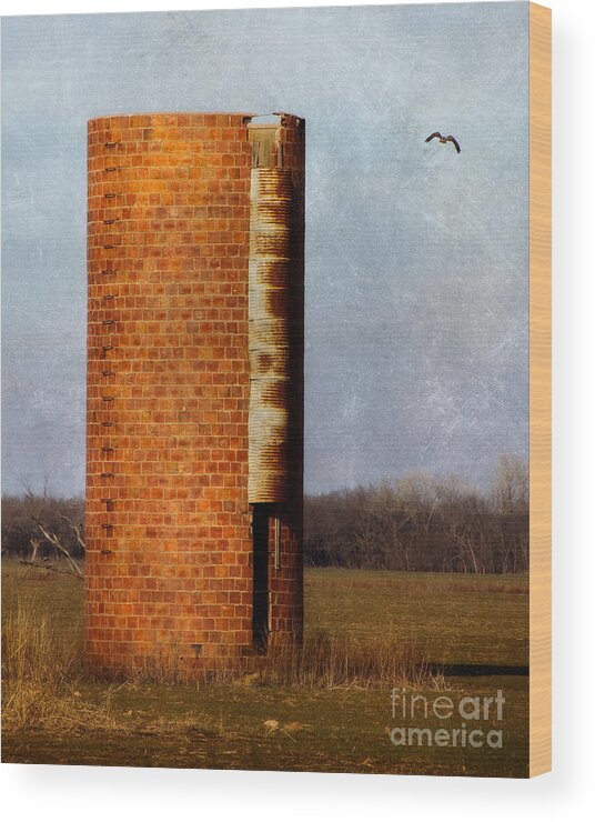 Abandoned Wood Print featuring the photograph Silo by Lana Trussell