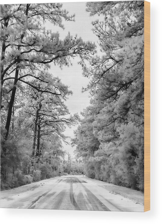Road Wood Print featuring the photograph Slippery When Frozen by Hayden Hammond