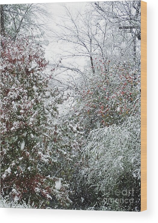 Snow Wood Print featuring the photograph Snow Day 2 by Lizi Beard-Ward