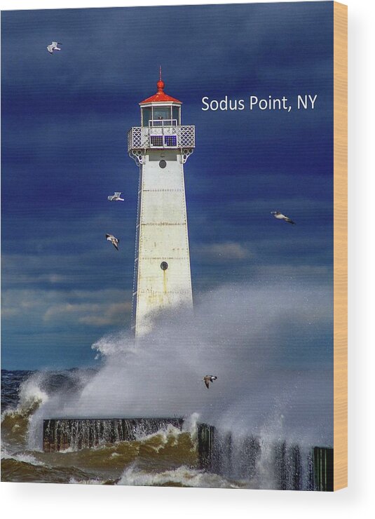 Sodus Point Ny Wood Print featuring the photograph Sodus Point Lighthouse 2 by Mary Courtney