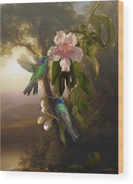 Birds Wood Print featuring the digital art Sparkling Violetear Hummingbirds and Trumpet Flower by M Spadecaller