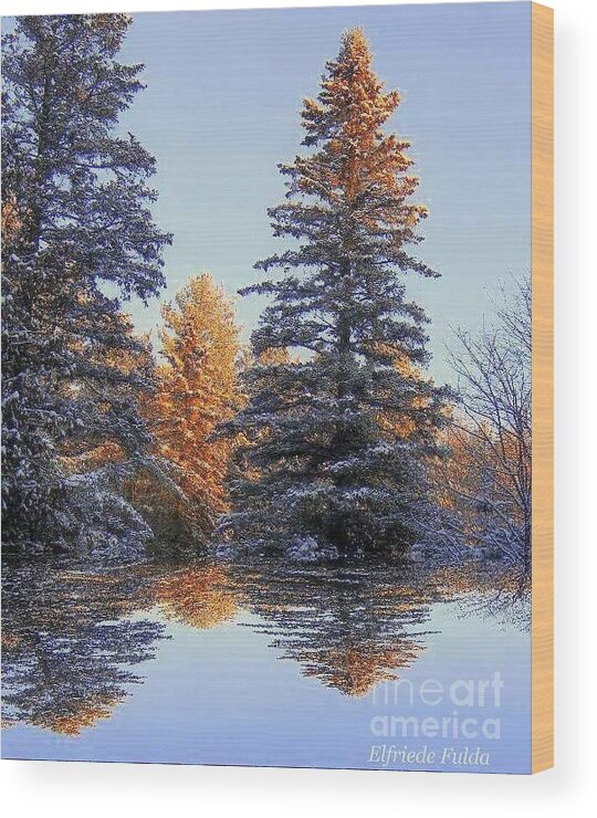 Pine Trees Snow Covered Reflections Winter Sun Dappled Lake Sky Blue Wood Print featuring the photograph Sprinkled by Elfriede Fulda