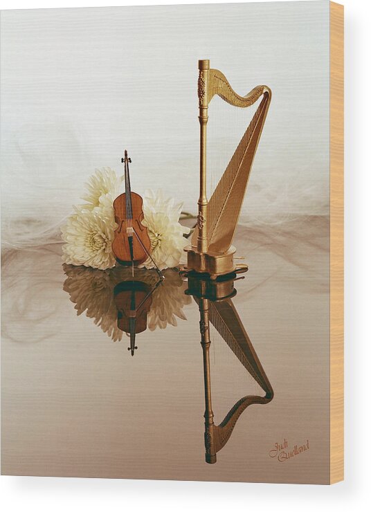 Strine Duet Wood Print featuring the photograph String Duet by Judi Quelland