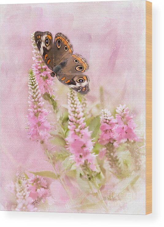Butterfly Wood Print featuring the photograph Summer Daze by Betty LaRue