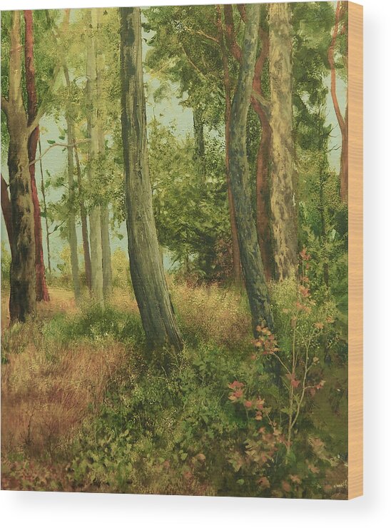 Sidney Spit Wood Print featuring the painting Summer, Sidney Spit by E Colin Williams ARCA