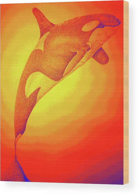  Whale Digital Art Wood Print featuring the digital art Sunburst Orca by Mayhem Mediums