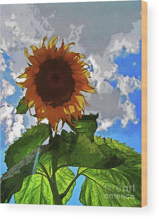 Florida Wood Print featuring the photograph Sunflower Staring You in the Eye by George D Gordon III