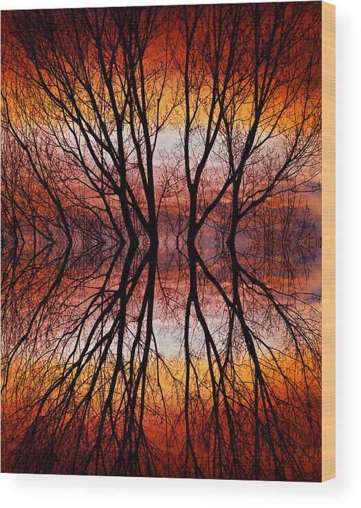 Abstracts Wood Print featuring the photograph Sunset Tree Silhouette Abstract 2 by James BO Insogna