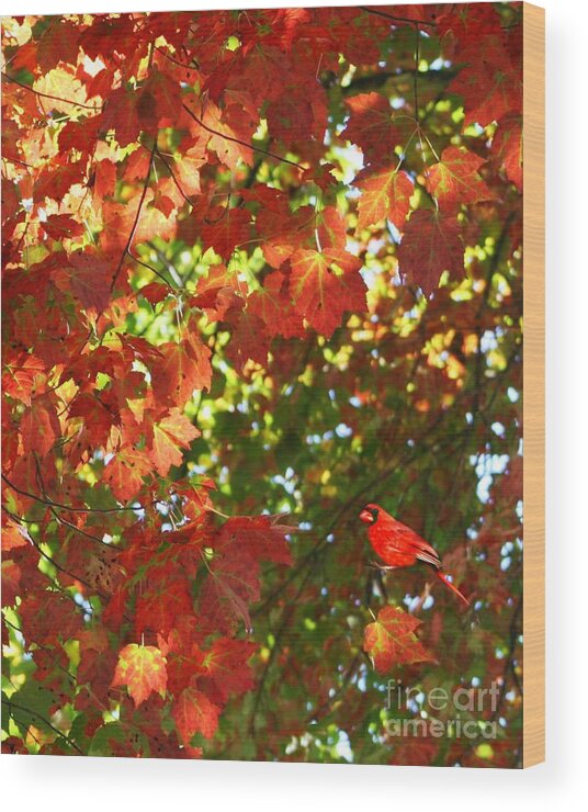 Autumn Wood Print featuring the photograph Surrounded By Fall In NE by Barbara S Nickerson