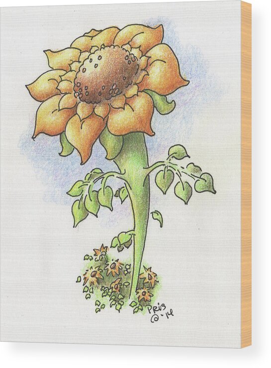 Flower Wood Print featuring the drawing Tall Sunflower by Pris Hardy