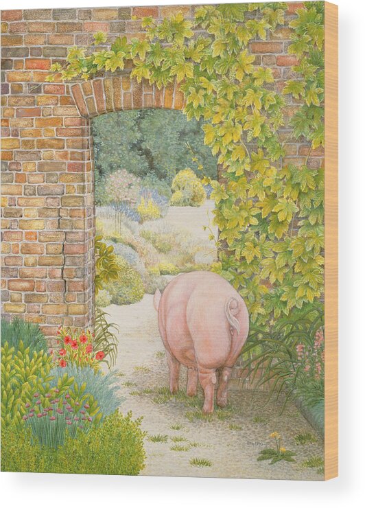 Pig Wood Print featuring the painting The Convent Garden Pig by Ditz