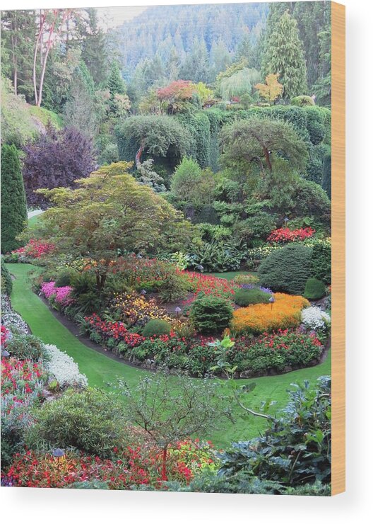 Flowers Wood Print featuring the photograph The Sunken Garden by Betty Buller Whitehead