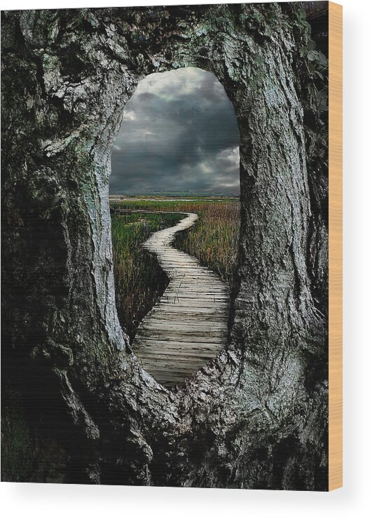 Composite Wood Print featuring the digital art Through the Knot Hole by Rick Mosher