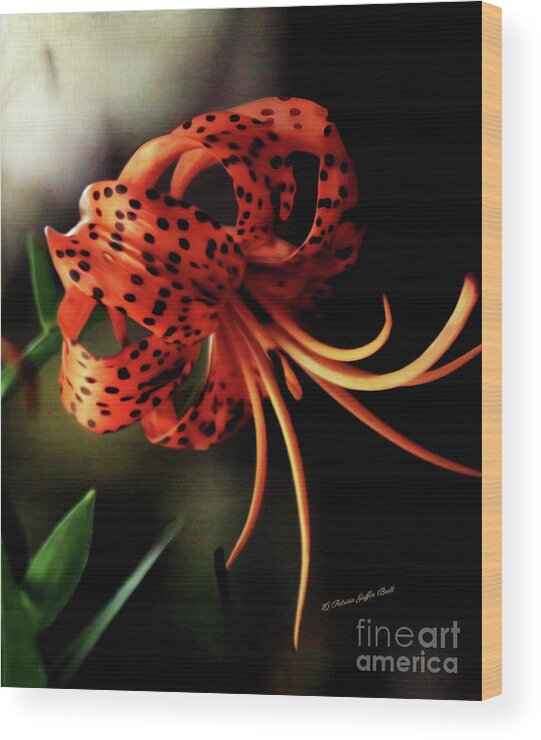 Fine Art Print Wood Print featuring the digital art Tiger Lily by Patricia Griffin Brett