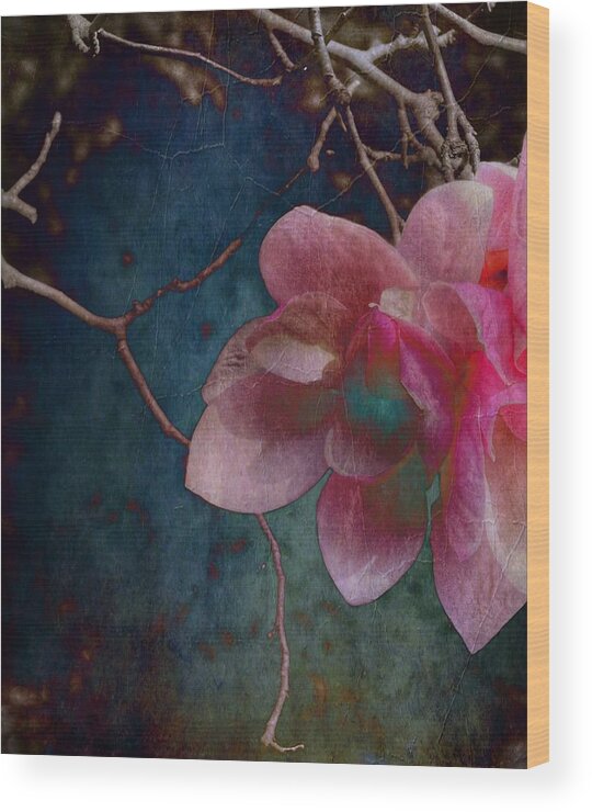Timeless Wood Print featuring the photograph Timeless - Magnolia Blossoms by Marianna Mills
