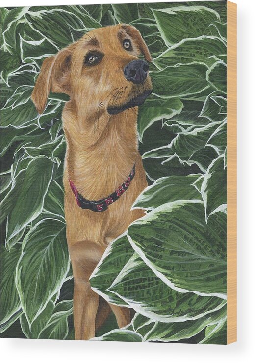Dog Wood Print featuring the painting Torchy by Twyla Francois