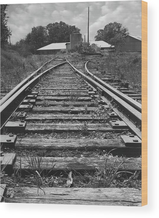 Railroad Tracks Wood Print featuring the photograph Tracks by Mike McGlothlen