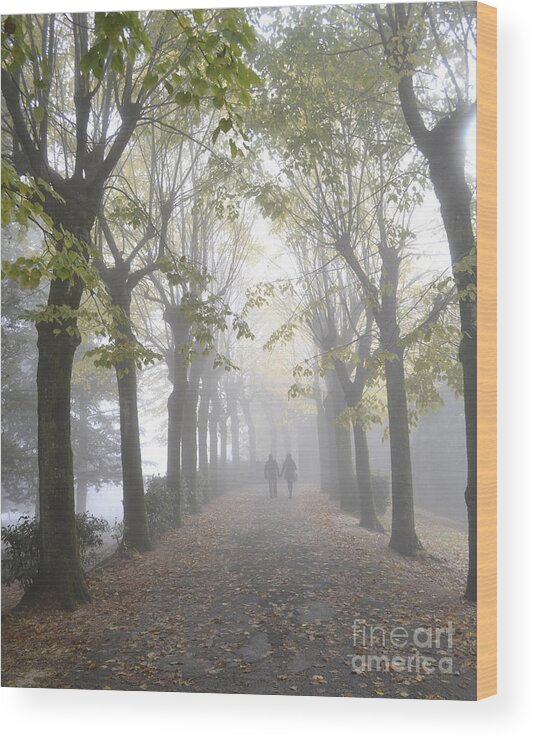 Misty Trees Wood Print featuring the photograph Tuscany Love by Rebecca Margraf