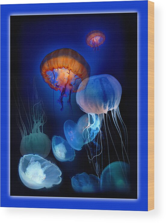 Jellies Wood Print featuring the photograph Undersea Dream by Linda Olsen