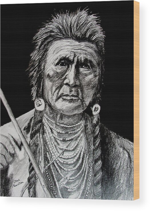 Original Portrait Wood Print featuring the drawing Unknown Indian by Stan Hamilton