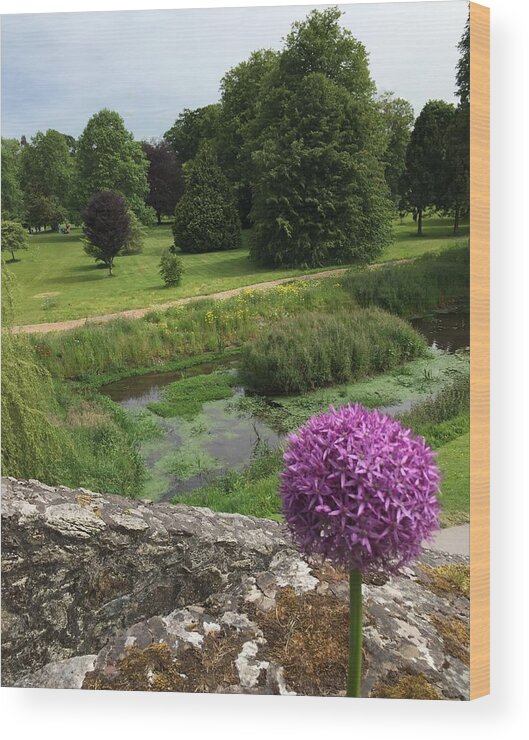 Ireland Wood Print featuring the photograph View from Blarney Castle by Sue Morris