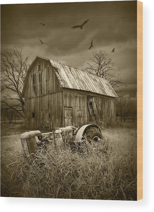 Art Wood Print featuring the photograph Vultures circling the Old Barn by Randall Nyhof