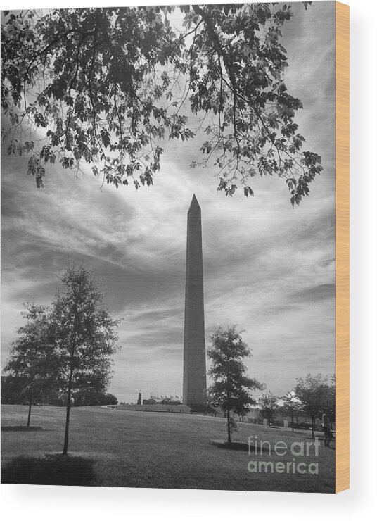 Washington Wood Print featuring the photograph Washington Monument in Black and White by Angela Rath