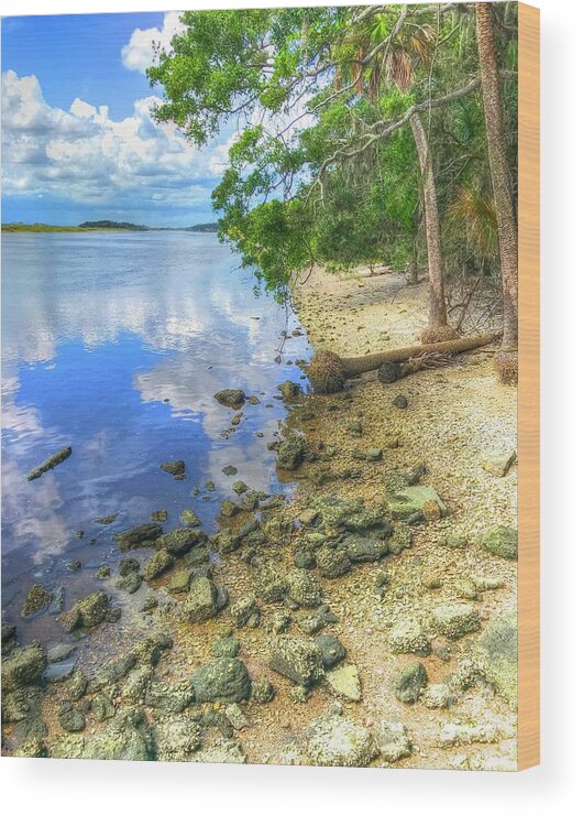 Water Wood Print featuring the photograph Water's Edge by Debbi Granruth