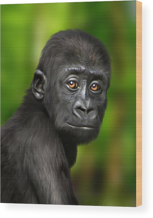 Gorilla Wood Print featuring the digital art Western Lowland Gorilla Baby by Julie L Hoddinott