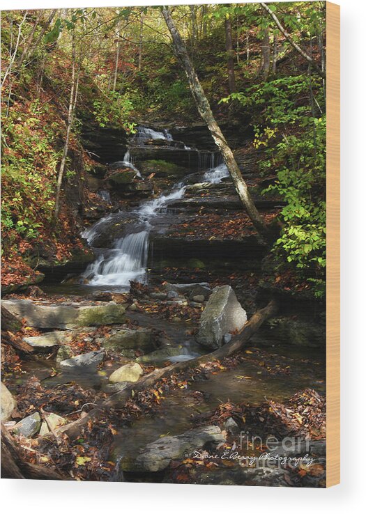 Diane Berry Wood Print featuring the photograph Whisper Falls by Diane E Berry