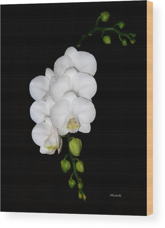White Wood Print featuring the photograph White Orchids on Black by Michele A Loftus