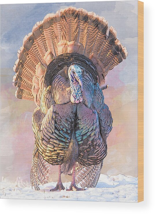 Bird Wood Print featuring the photograph Wild Tom Turkey by Patti Deters