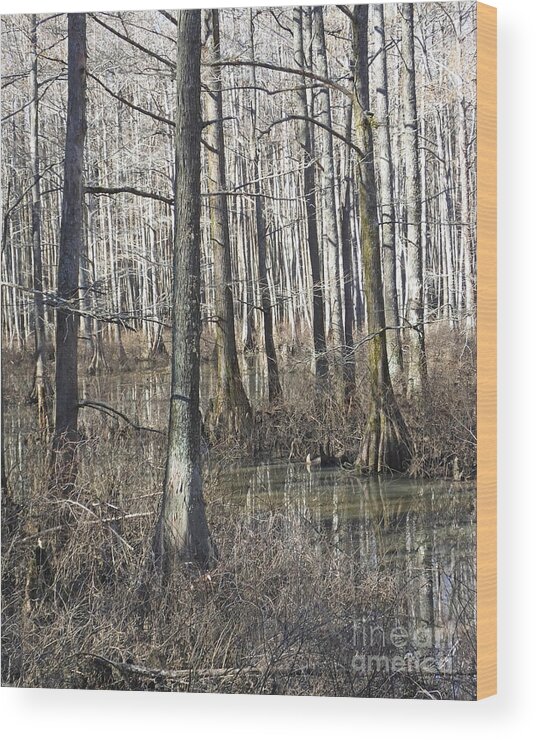 Swamp Wood Print featuring the photograph William B Clark Conservation Area Wolf River Rossville TN 6 by Lizi Beard-Ward