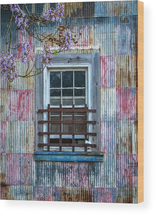 Window Wood Print featuring the photograph Window and Wysteria by Cyndi Goetcheus Sarfan