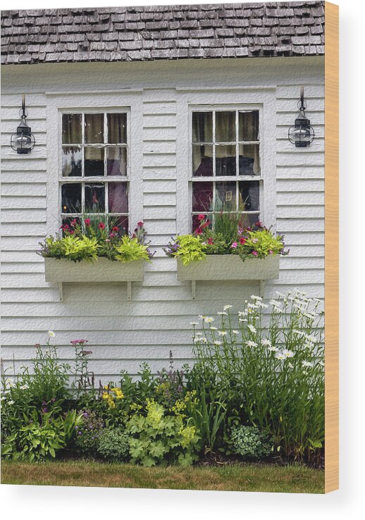 Flowers Wood Print featuring the photograph Window Boxes and Flowers by Betty Denise